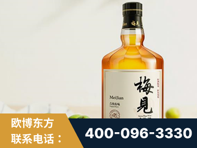 哈尔滨-梅见青梅酒